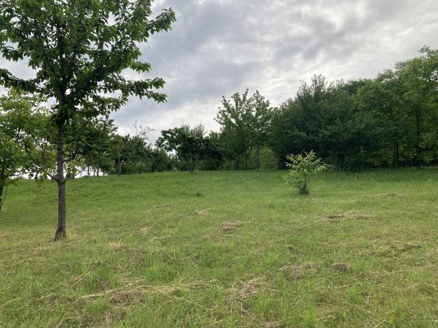 Eladó telek, Zalaegerszegen 6.99 M Ft / költözzbe.hu