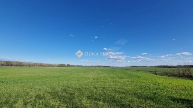 Eladó mezogazdasagi ingatlan, Sülysápon 40.5 M Ft