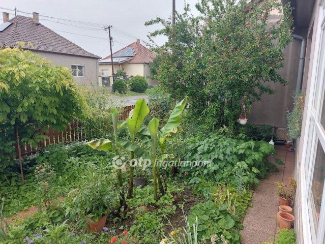 Eladó családi ház, Szigetváron 59.8 M Ft, 5 szobás