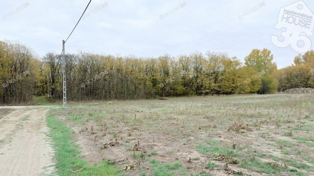 Eladó telek, Kecskeméten 16.9 M Ft / költözzbe.hu