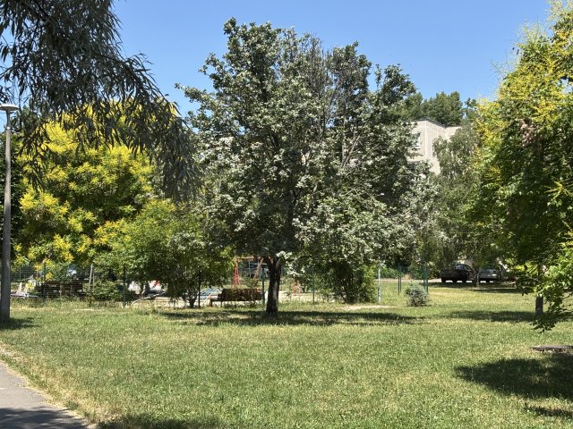 Eladó panellakás, Budapesten, III. kerületben 49.9 M Ft, 1 szobás