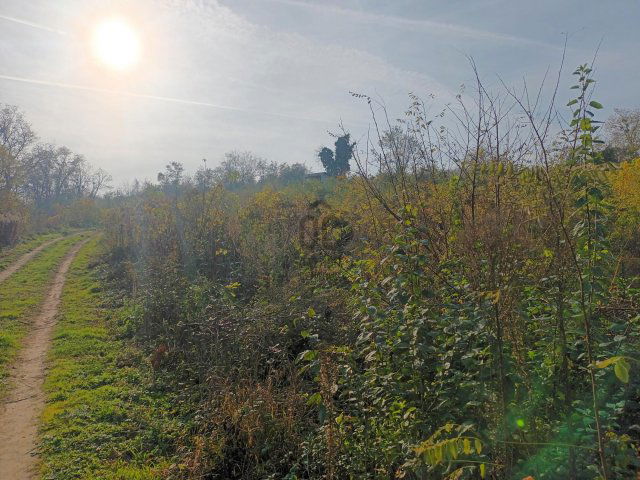 Eladó telek, Zalabéren 2.5 M Ft / költözzbe.hu