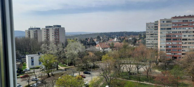 Kiadó panellakás, albérlet, XI. kerületben, Menyecske utcában