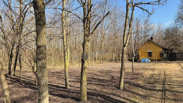 Eladó családi ház, Dabason 14.99 M Ft, 1 szobás