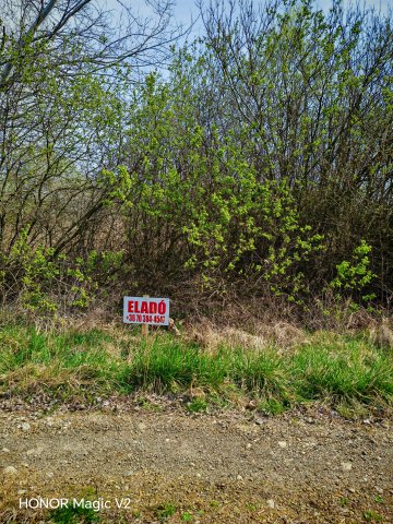 Eladó telek, Levelek 2.95 M Ft / költözzbe.hu