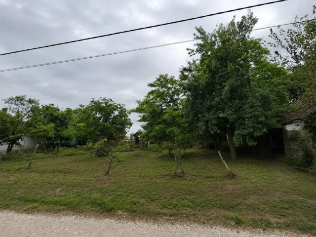 Eladó mezogazdasagi ingatlan, Tompán 1.5 M Ft