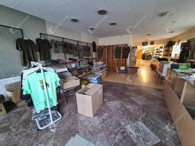 Kiadó üzlethelyiség, Mosonmagyaróváron 250 E Ft / hó