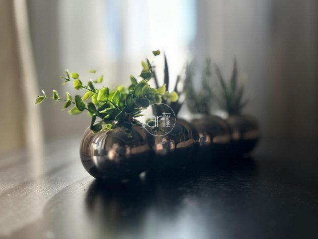 Kiadó téglalakás, albérlet, Szegeden, Kígyó utcában, 2 szobás