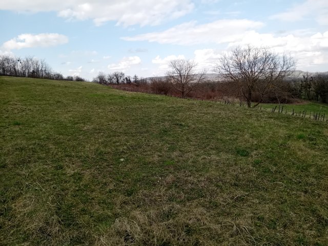 Eladó mezogazdasagi ingatlan, Karmacson 5.9 M Ft