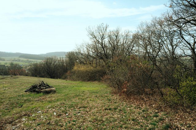 Eladó telek, Balatonszőlősön 40 M Ft / költözzbe.hu