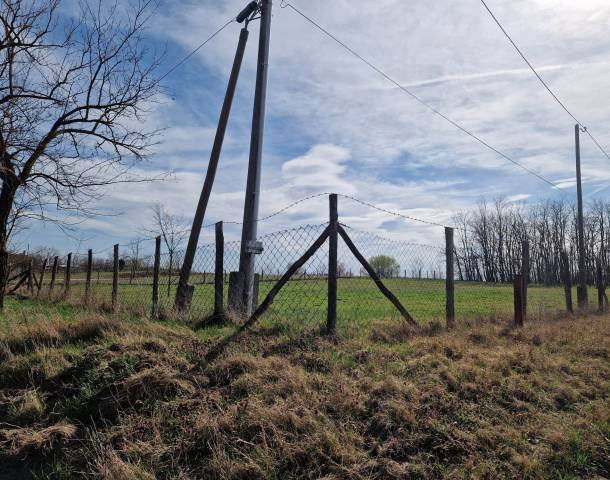 Eladó mezogazdasagi ingatlan, Dabason 8.9 M Ft