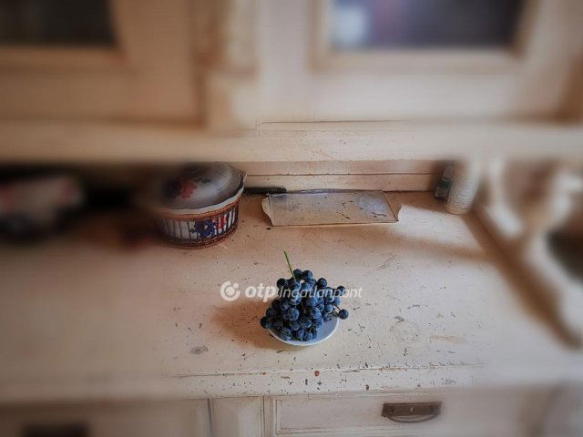 Eladó családi ház, Dömsödön 33 M Ft, 3 szobás