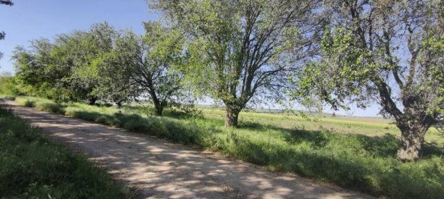 Eladó telek, Sajóvámoson 1.5 M Ft / költözzbe.hu