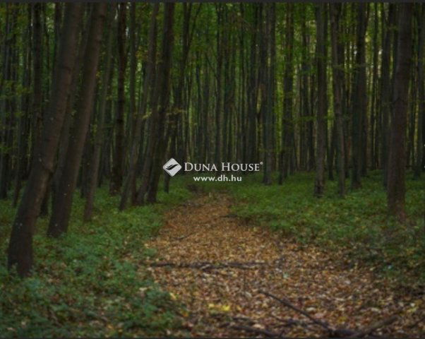 Eladó telek, Regenyén 3.5 M Ft / költözzbe.hu