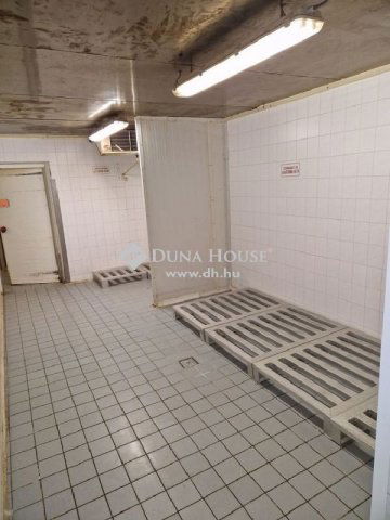 Eladó családi ház, Nagykőrösön 160 M Ft, 6 szobás