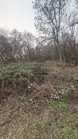 Eladó telek, Leányfaluban 29.9 M Ft / költözzbe.hu