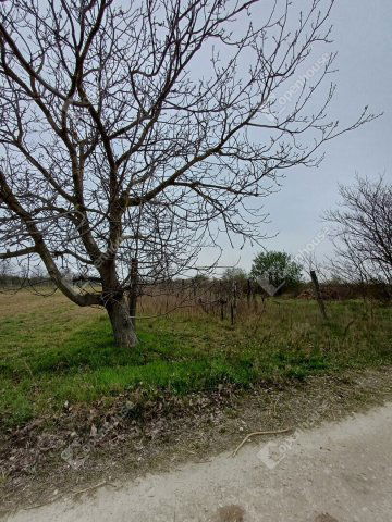 Eladó telek, Fertőszentmiklóson 1.5 M Ft / költözzbe.hu