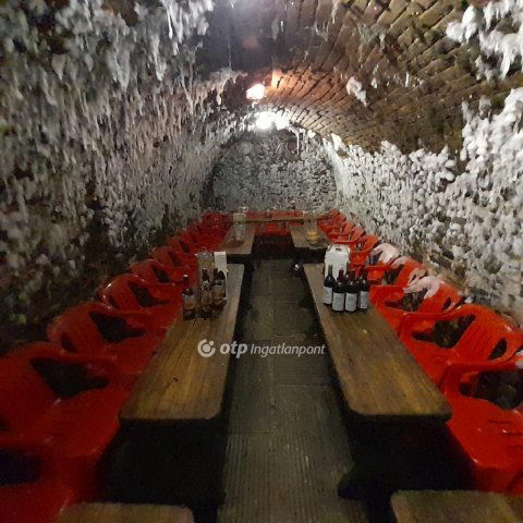 Eladó üzlethelyiség, Szekszárdon 51.435 M Ft