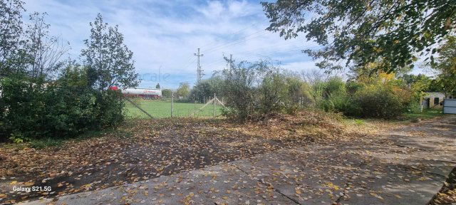 Kiadó üzlethelyiség, Szegeden 250000 E Ft / hó