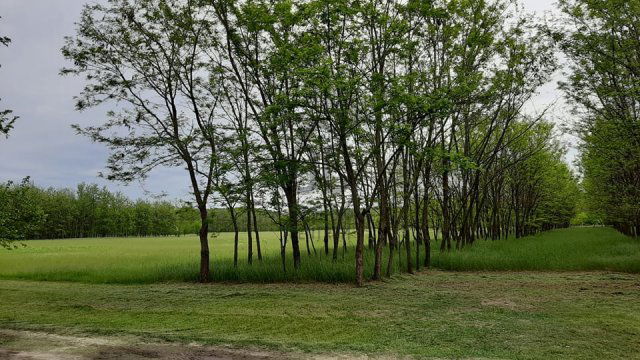 Eladó mezogazdasagi ingatlan, Nagykőrösön 10 M Ft