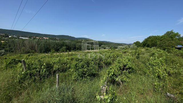 Eladó mezogazdasagi ingatlan, Solymáron 19.2 M Ft