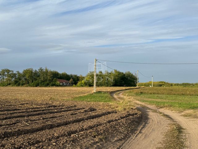 Eladó mezogazdasagi ingatlan, Kecskeméten 3.5 M Ft