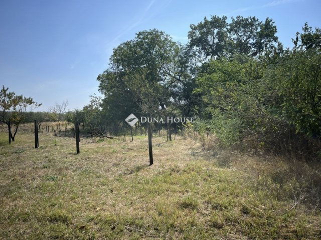 Eladó mezogazdasagi ingatlan, Kecskeméten 26.9 M Ft, 1 szobás