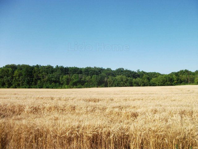 Eladó mezogazdasagi ingatlan, Alsópáhokon 5 M Ft