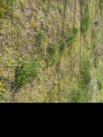 Eladó telek, Zalabéren 2.5 M Ft / költözzbe.hu