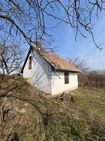 Eladó mezogazdasagi ingatlan, Ádándon 9.9 M Ft