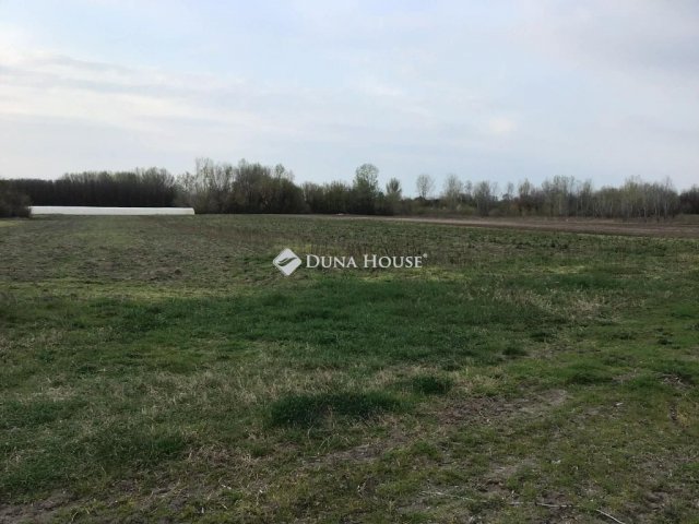 Eladó mezogazdasagi ingatlan, Ásotthalmán 3 M Ft