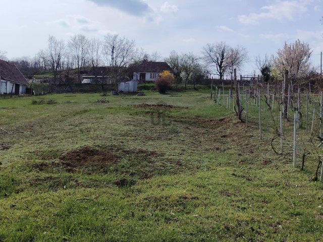 Eladó mezogazdasagi ingatlan, Szekszárdon 2.7 M Ft