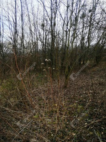 Eladó telek, Nagykapornakon 3.4 M Ft / költözzbe.hu