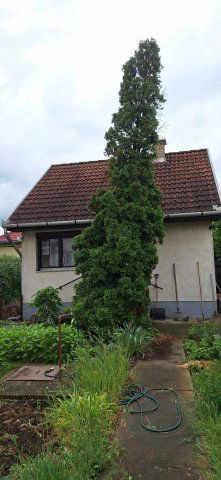 Eladó családi ház, Debrecenben 58.5 M Ft, 2+1 szobás