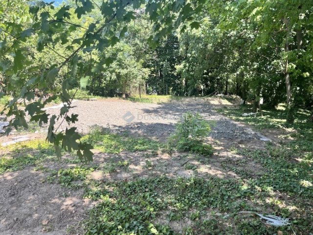 Eladó családi ház, Bólyban 220 M Ft, 9 szobás