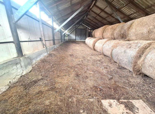 Eladó mezogazdasagi ingatlan, Vértestolnán 39.99 M Ft