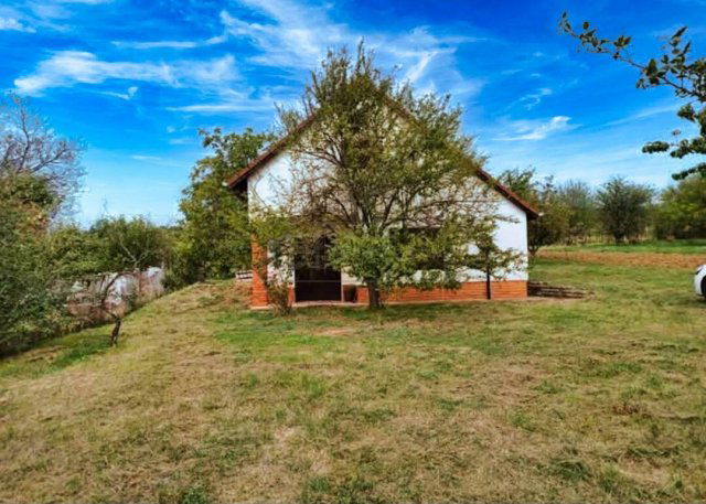 Eladó mezogazdasagi ingatlan, Várpalotán 10 M Ft, 2 szobás