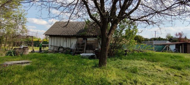 Eladó családi ház, Pilisen 36.5 M Ft, 4 szobás