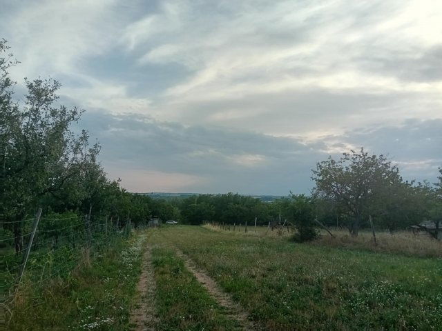 Eladó telek, Szomódon 5 M Ft / költözzbe.hu