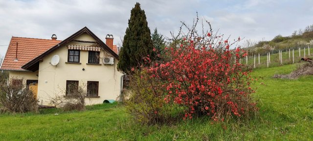 Eladó családi ház, Kötcsén 59 M Ft, 3 szobás