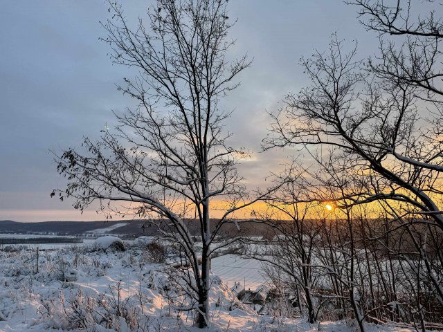 Eladó telek, Tényőn 10.9 M Ft / költözzbe.hu