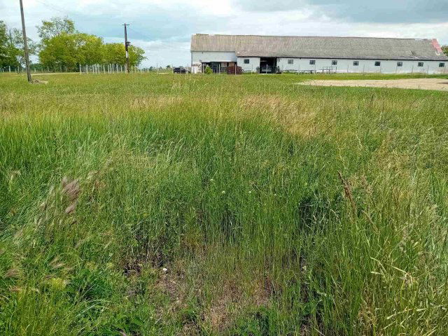 Eladó mezogazdasagi ingatlan, Zamárdiban 30 M Ft
