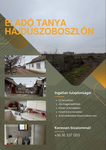 Eladó mezogazdasagi ingatlan, Hajdúszoboszlón 37 M Ft