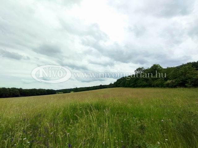 Eladó mezogazdasagi ingatlan, Hárskúton 30 M Ft