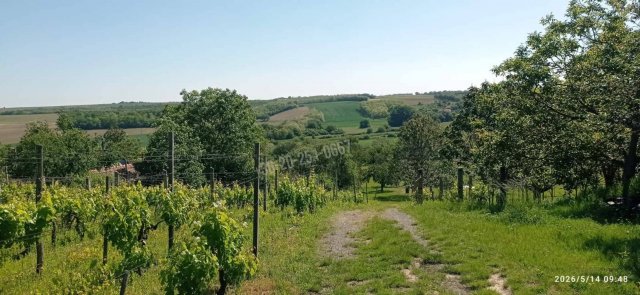 Eladó mezogazdasagi ingatlan, Mohácson 6 M Ft, 2 szobás