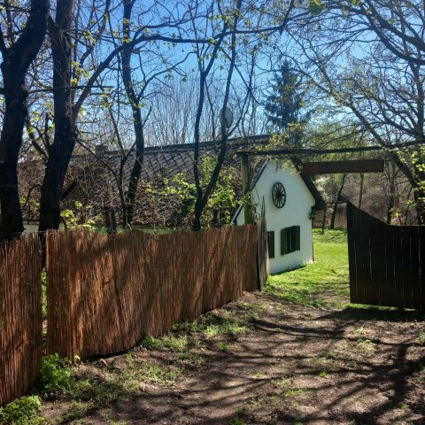 Eladó családi ház, Ecsegen 55 M Ft, 3 szobás