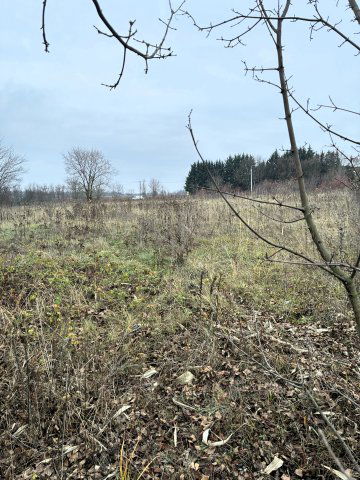 Eladó telek, Gödöllőn 19.9 M Ft / költözzbe.hu