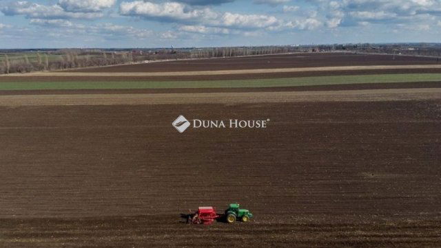 Eladó mezogazdasagi ingatlan, Bakson 320 M Ft