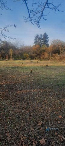 Eladó mezogazdasagi ingatlan, Érden 19.9 M Ft