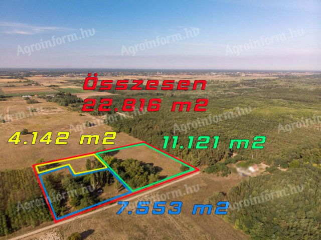 Eladó mezogazdasagi ingatlan, Lajosmizsén 3.5 M Ft